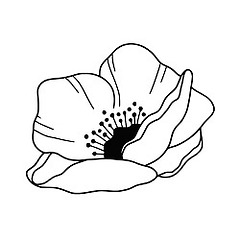mavipoppy art
