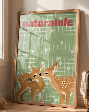 Plakat jelonki